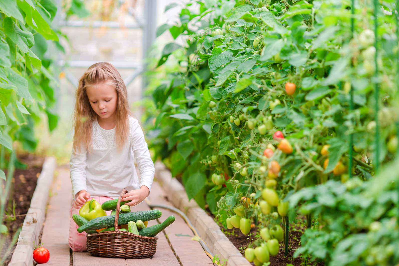 Když děti vidí, jak jejich zelenina, kterou sami pěstují, roste, zažívají radost a hrdost